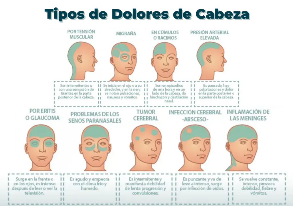 Tipos de Dolores de Cabeza FISIOMIBE